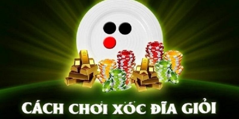 cach-choi-xoc-dia-anh-dai-dien