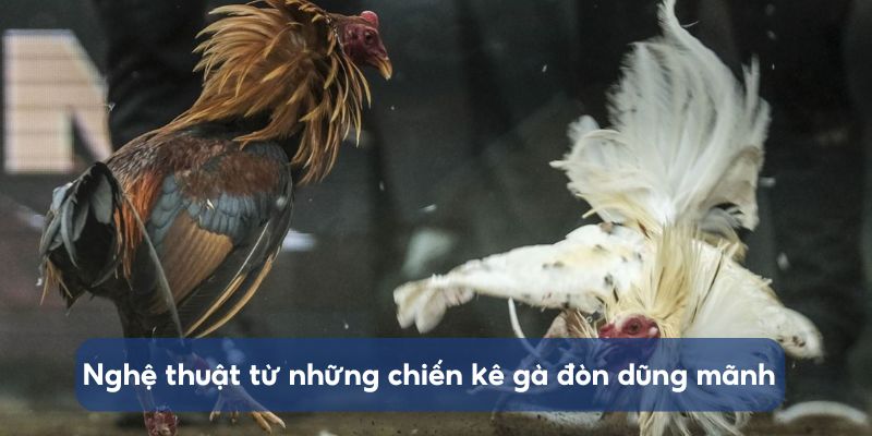 nghe-thuat-tu-nhung-chien-ke-da-ga-don-dung-manh